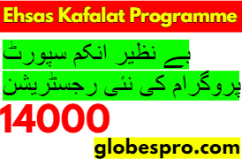 Ehsaas Programme 8171 Online Registration 2023