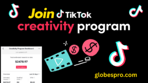 TikTok Creativity Program